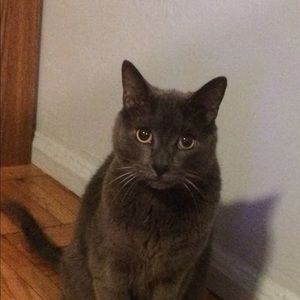 Meet your Posher, Janet